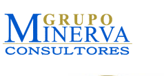 Grupo Minerva Consultores